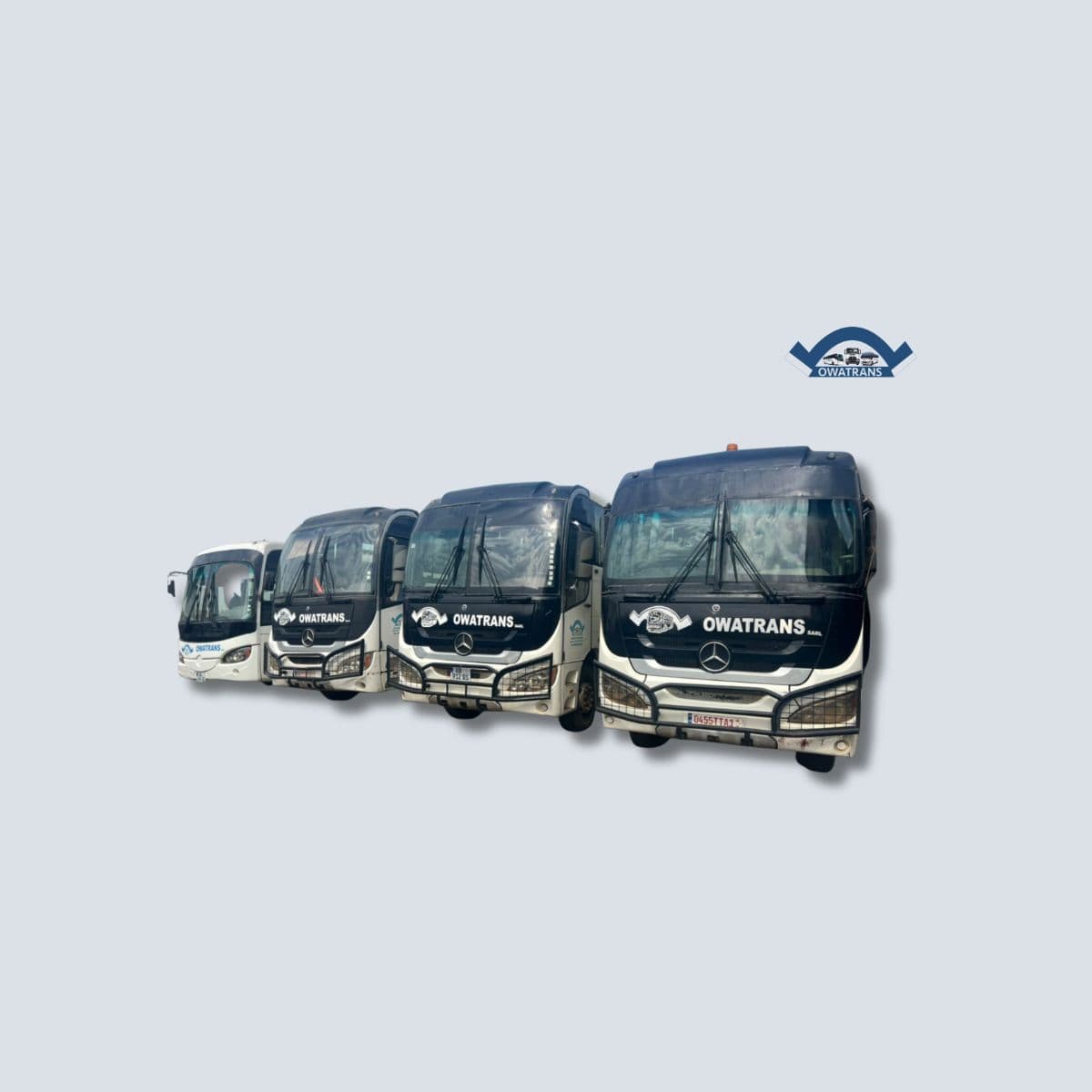 Bus MARCOPOLO (613/709)